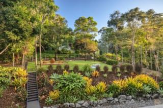 yourtown Draw 553 Photo